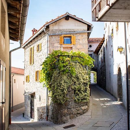 Apartment Villa Irena Great For A Family Holiday With Free Parking And Ev Station Ajdovščina エクステリア 写真