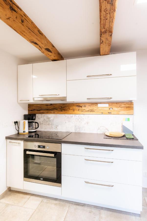 Apartment Villa Irena Great For A Family Holiday With Free Parking And Ev Station Ajdovščina エクステリア 写真