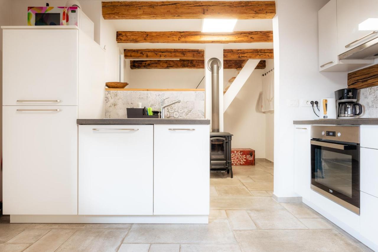 Apartment Villa Irena Great For A Family Holiday With Free Parking And Ev Station Ajdovščina エクステリア 写真